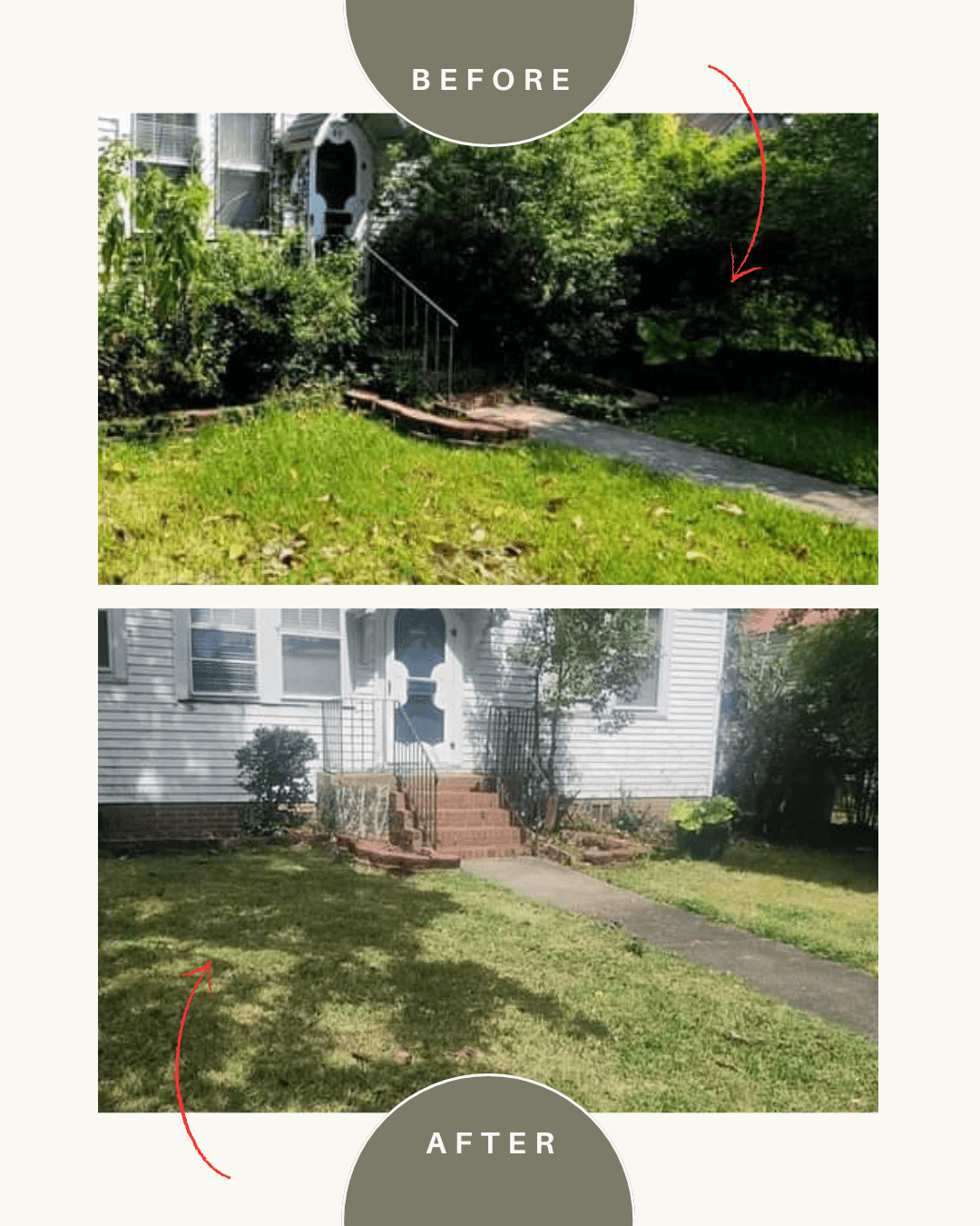 Full Property Cleanup Packages