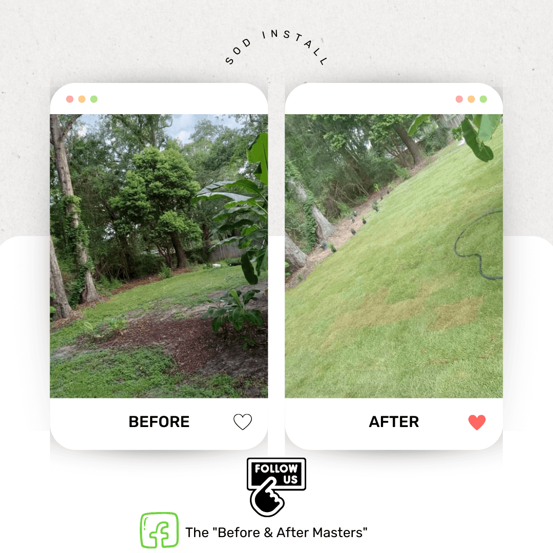 Sod Installation & Patch Work